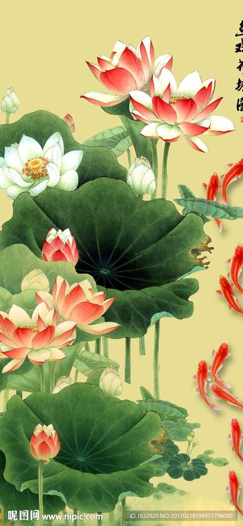 荷花九鱼图