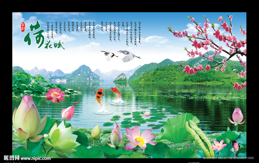 荷花