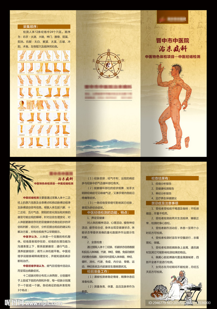 中医穴位折页