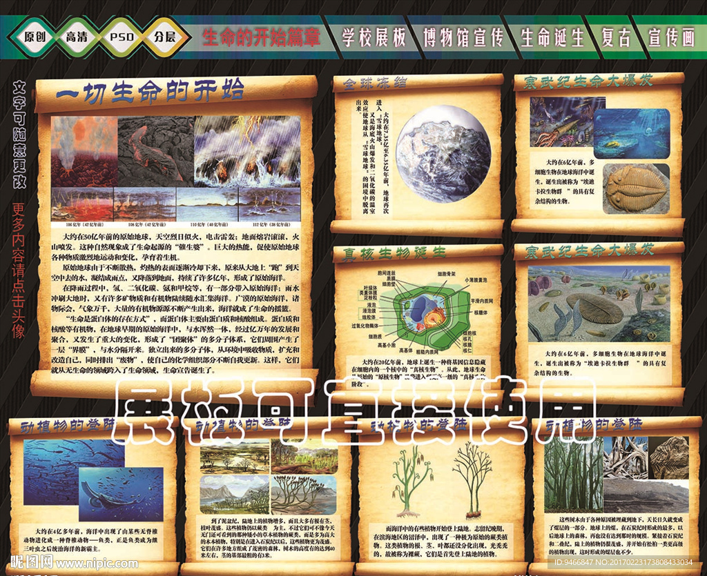 学校图板 学校展板