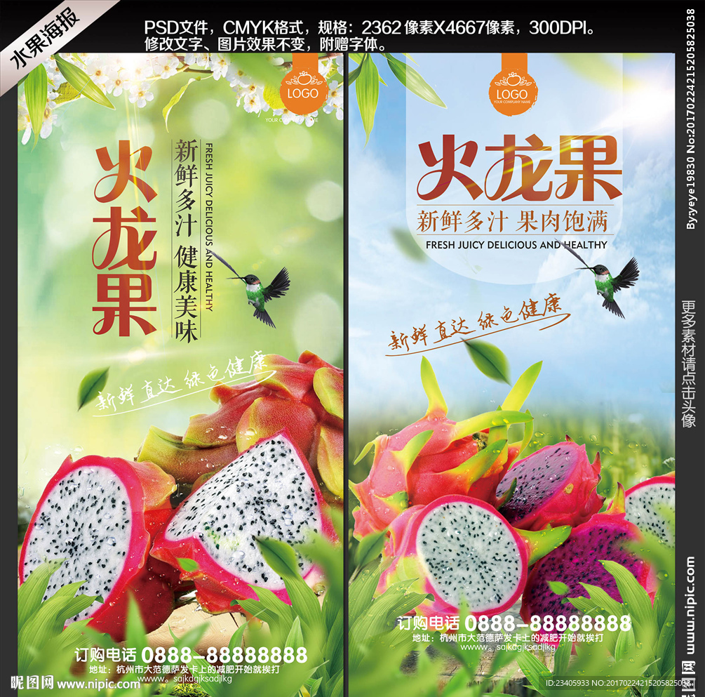 火龙果