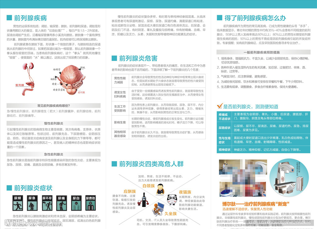 男科 前列腺 折页