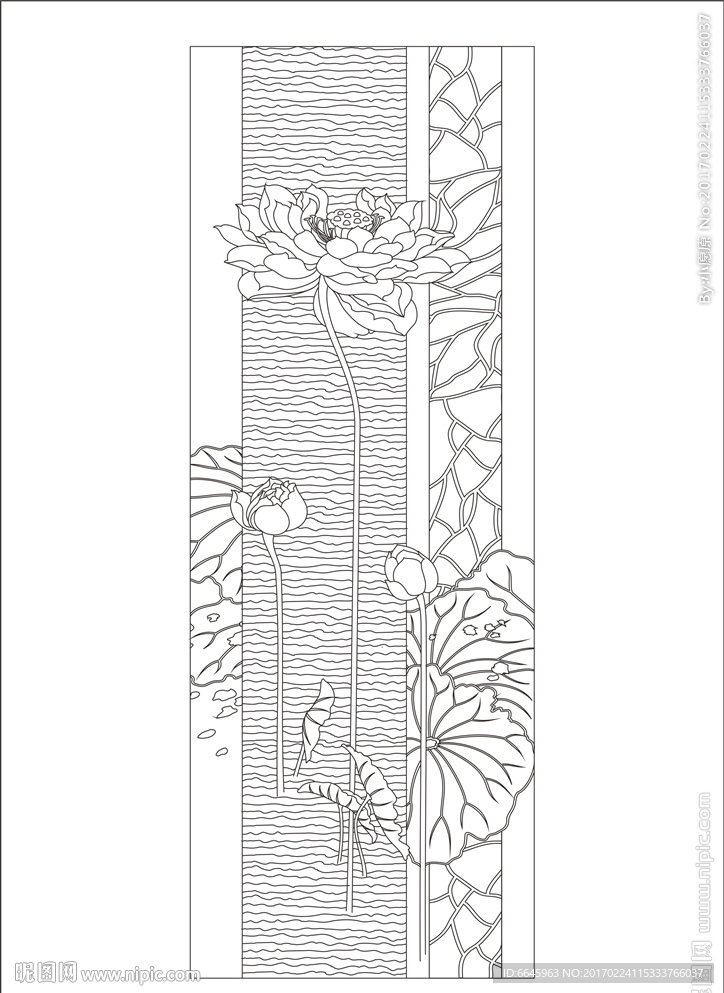 荷花