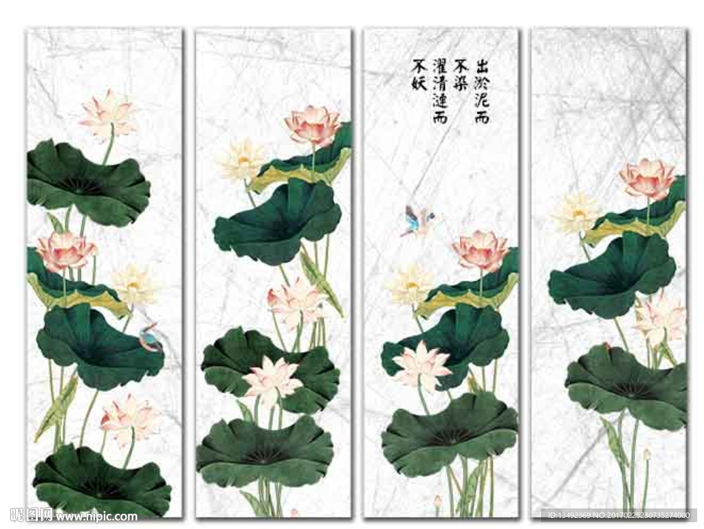 国画荷花