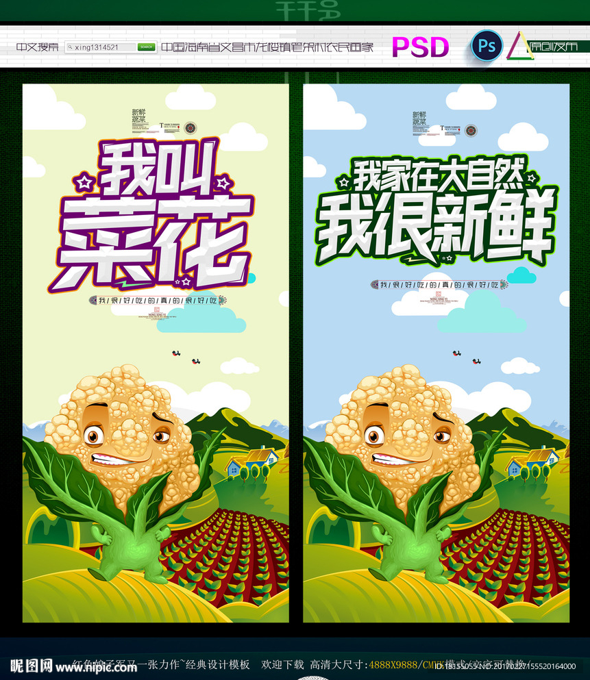 我叫菜花 写意主题
