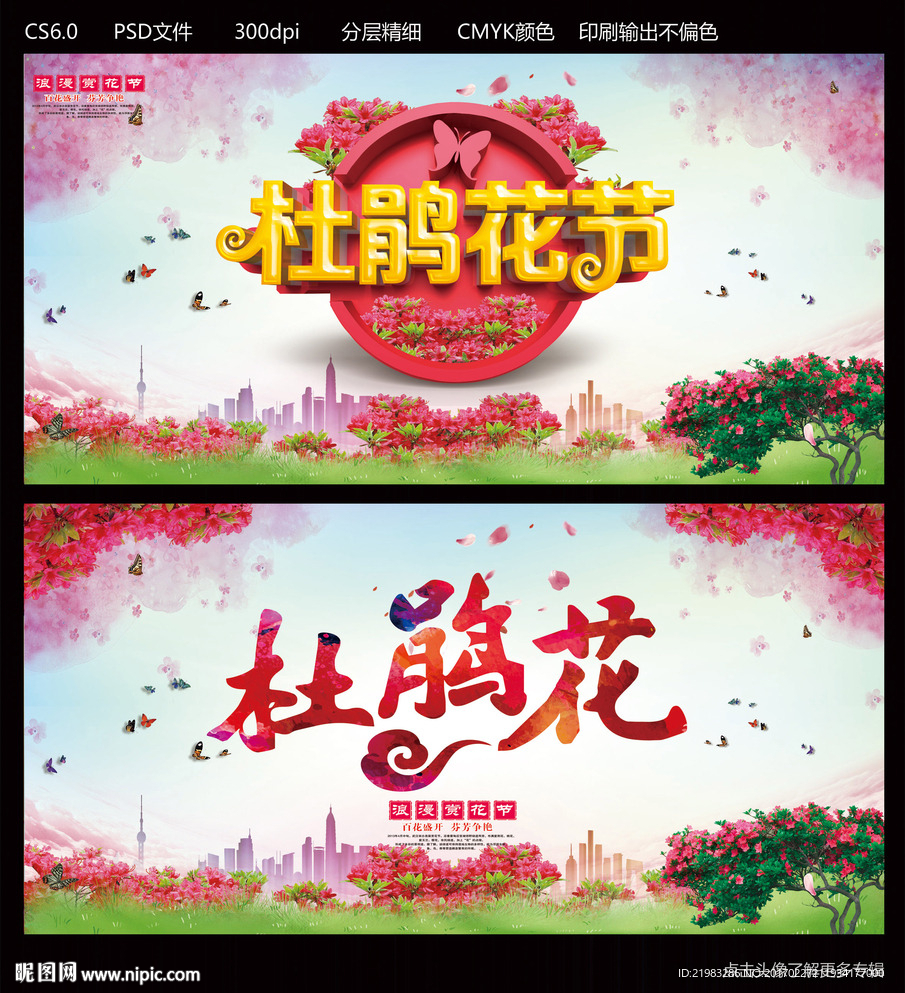 杜鹃花