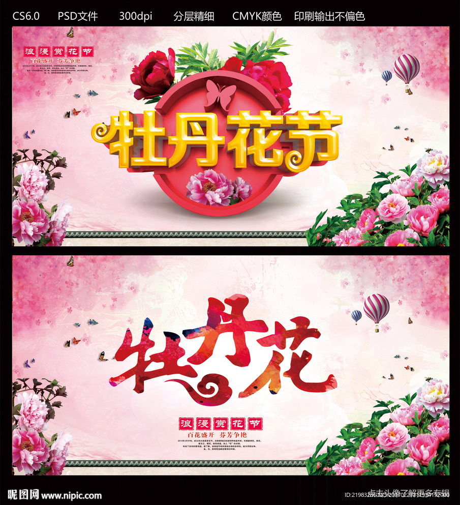牡丹花