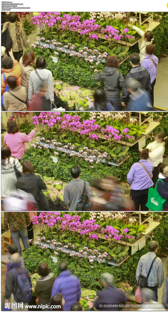 花卉市场延时摄影