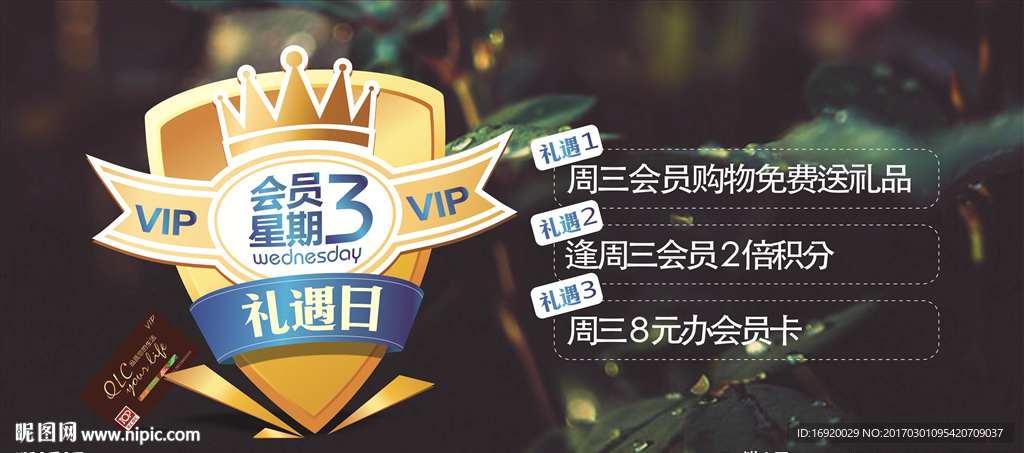 会员周三日海报