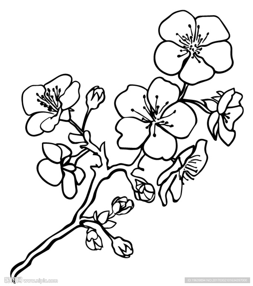 梅花
