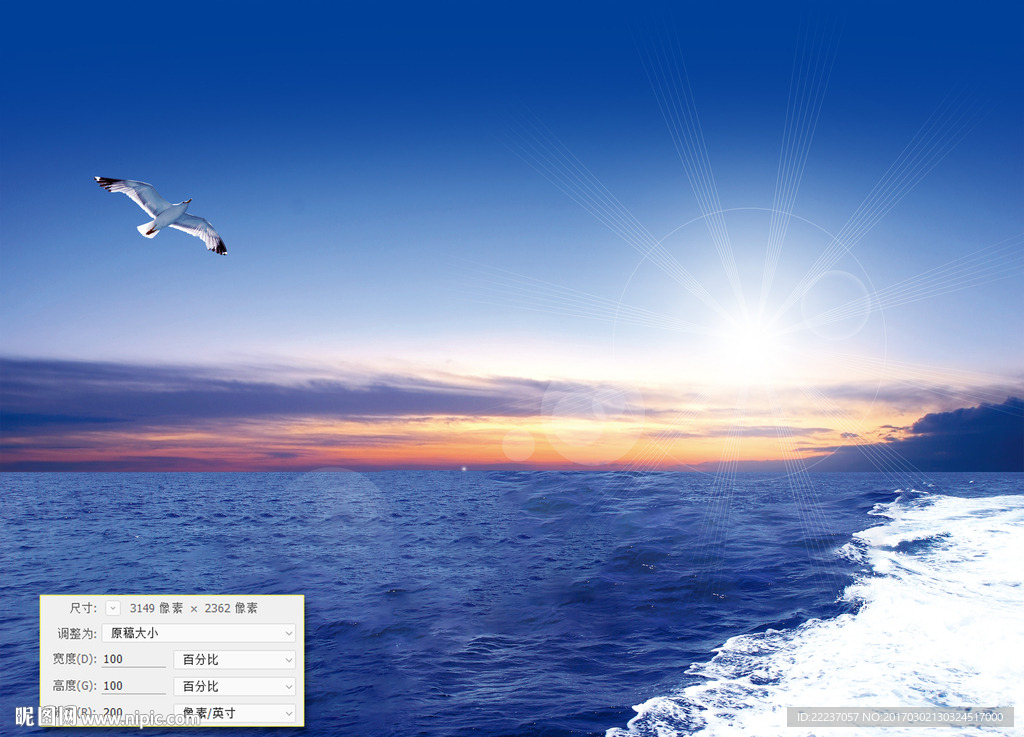 大海海洋海边海鸥图片素材