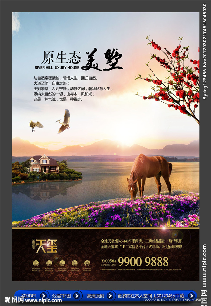 高端房地产广告