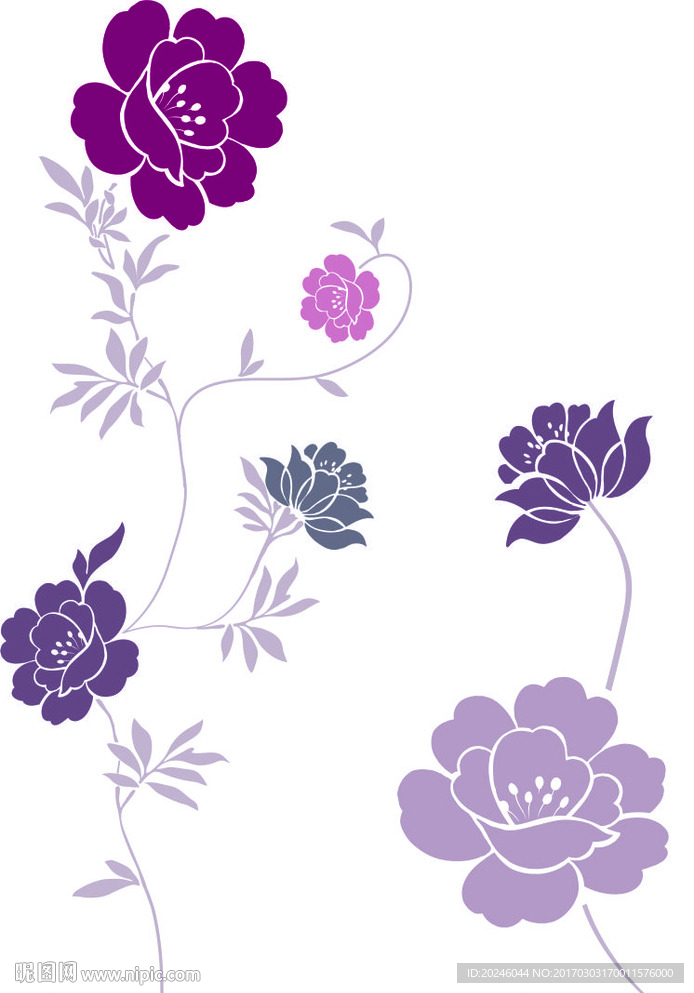 牡丹花 玫瑰花