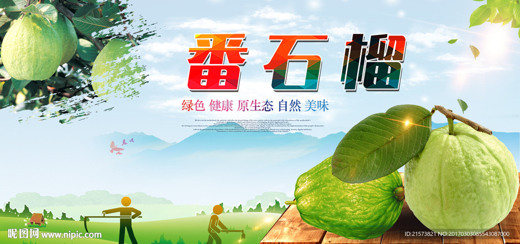 番石榴