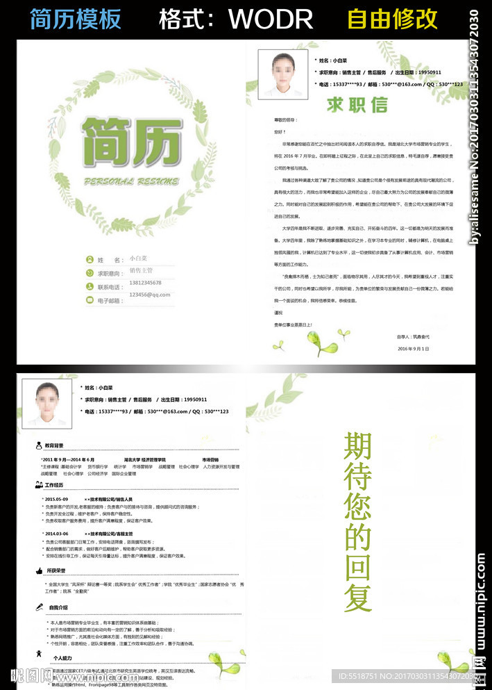 简历模板