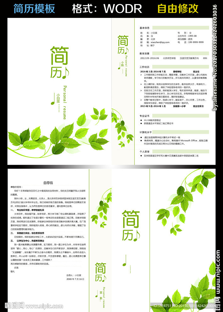 简历模板