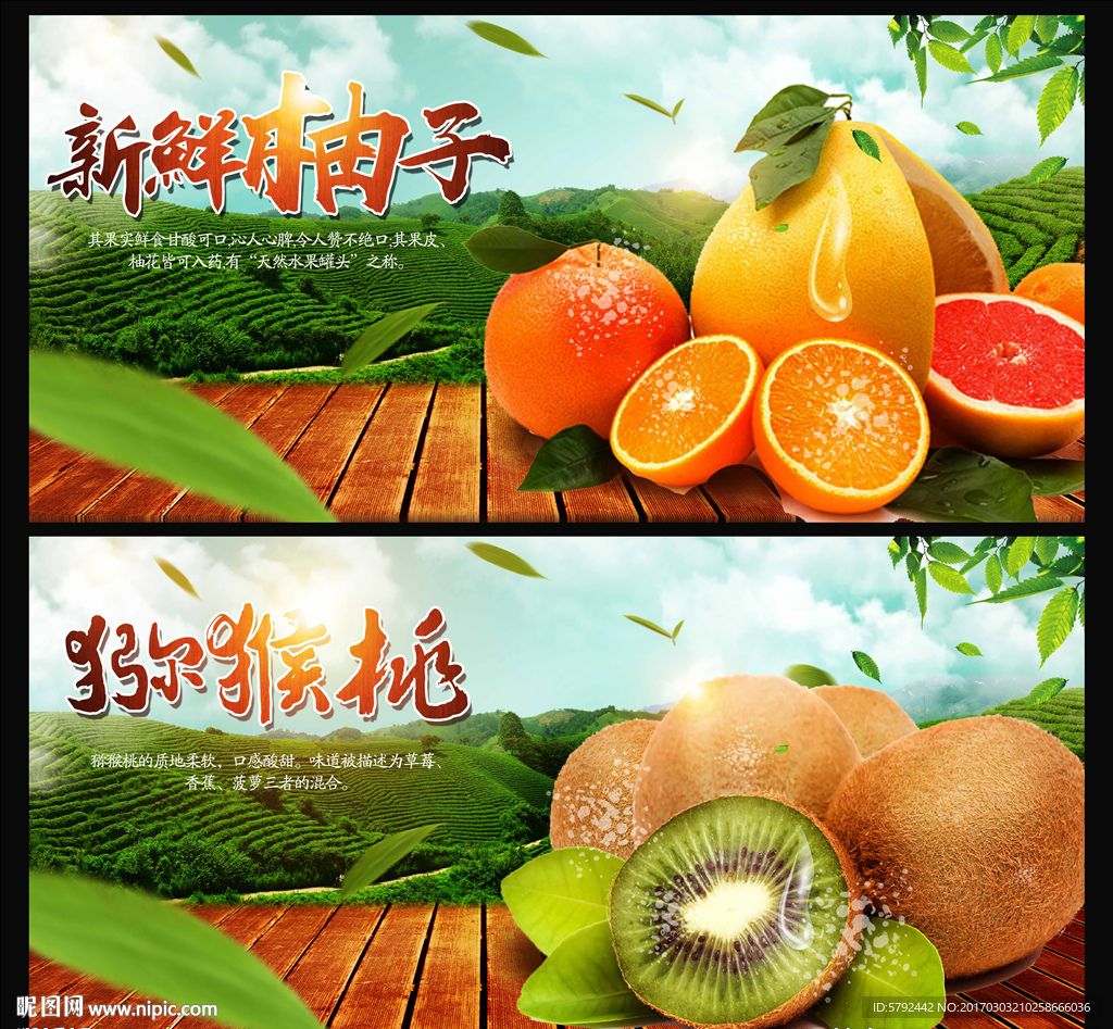 水果、柚子、猕猴桃