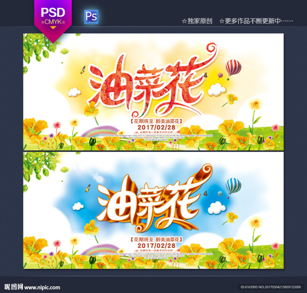 油菜花