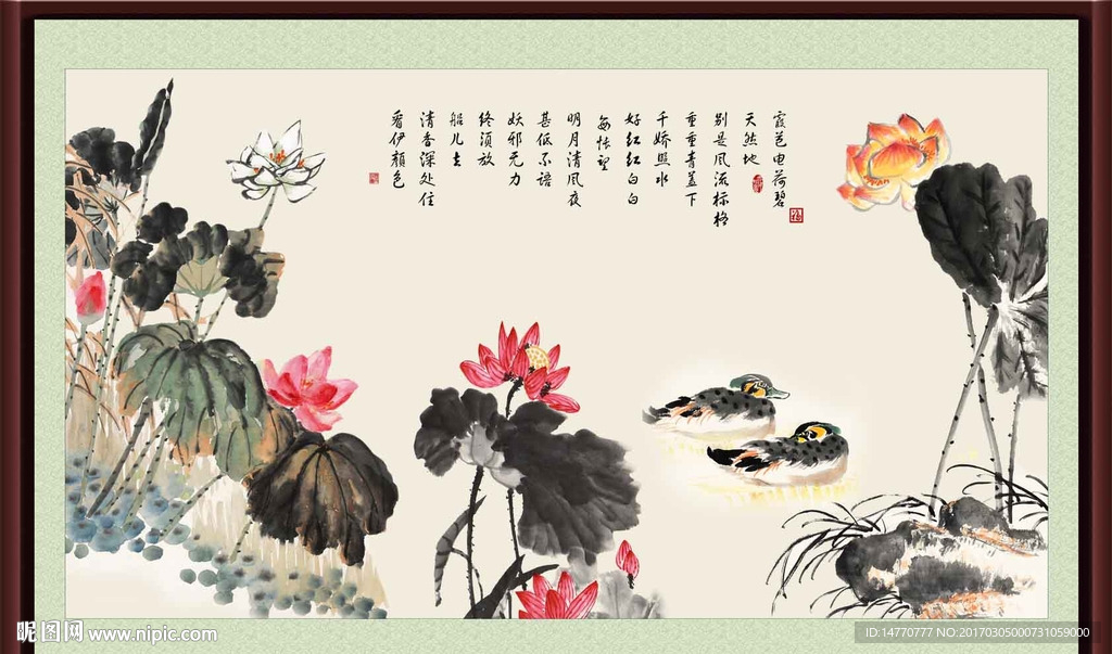 荷花图