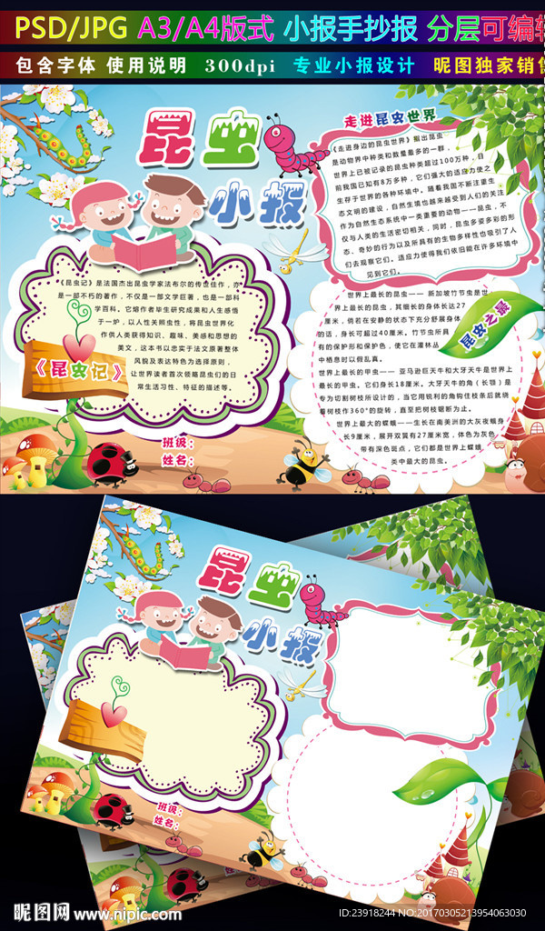 昆虫小报科技科普走进自然手抄报