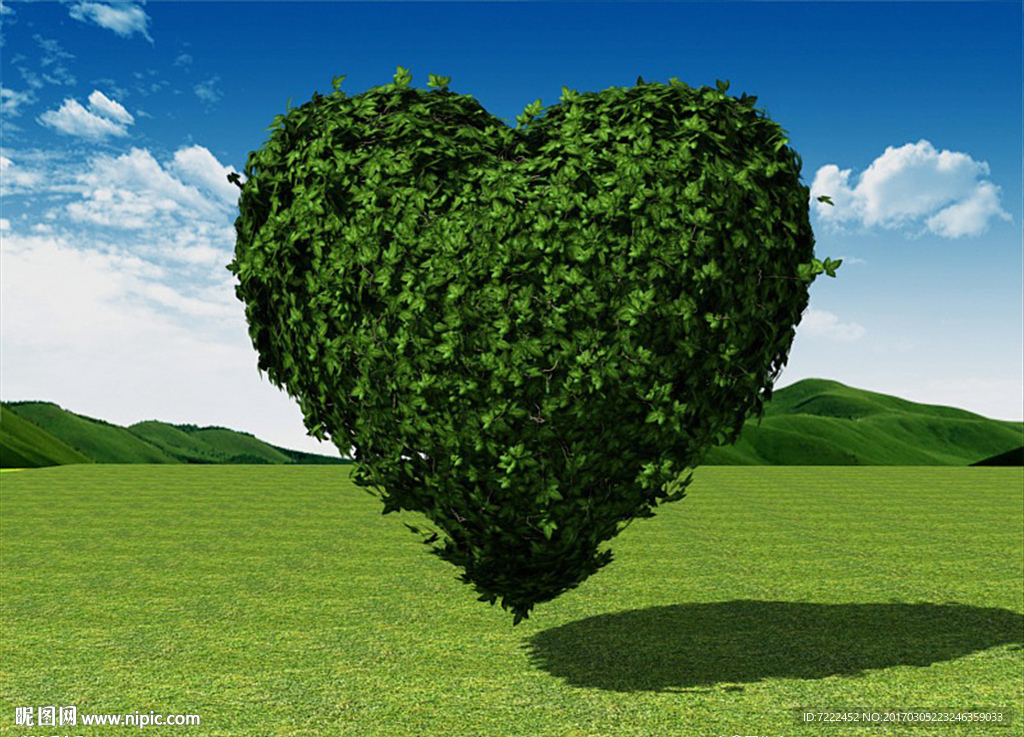 心形编织物3D模型