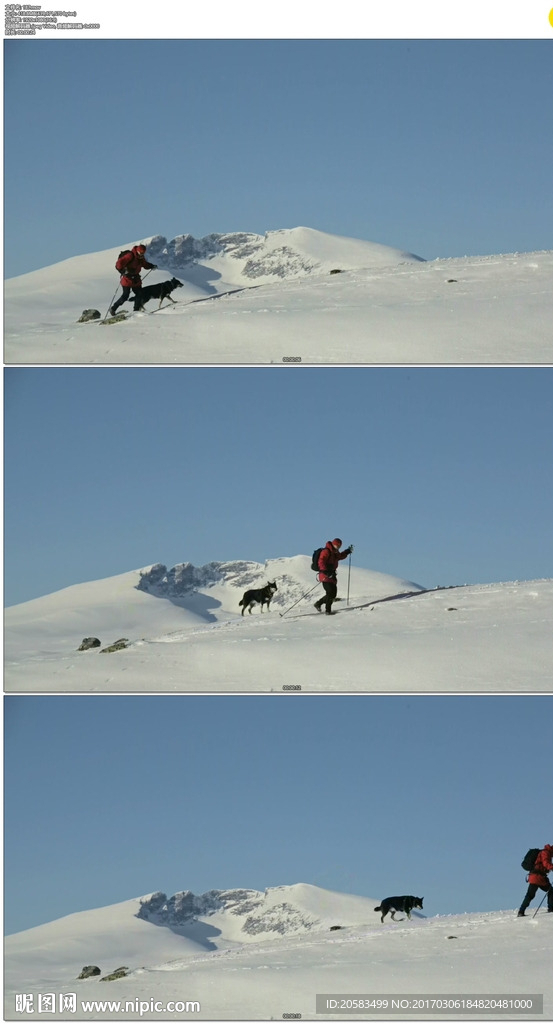 一个人一只狗登雪山