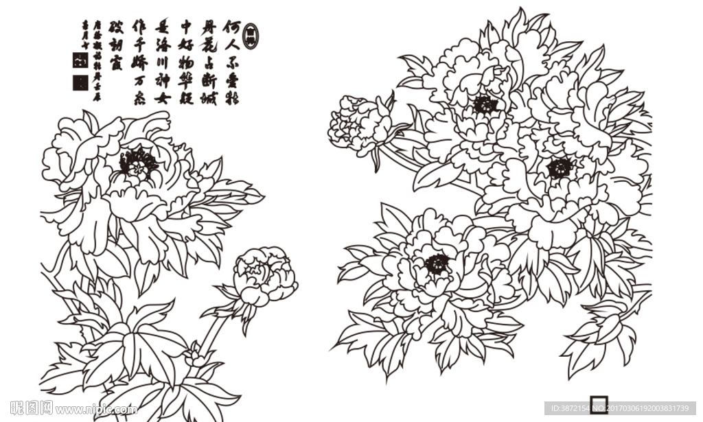 牡丹颂