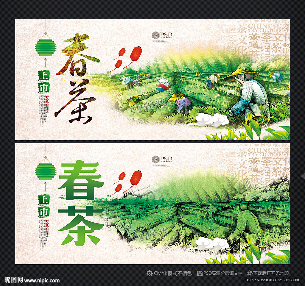新茶上市