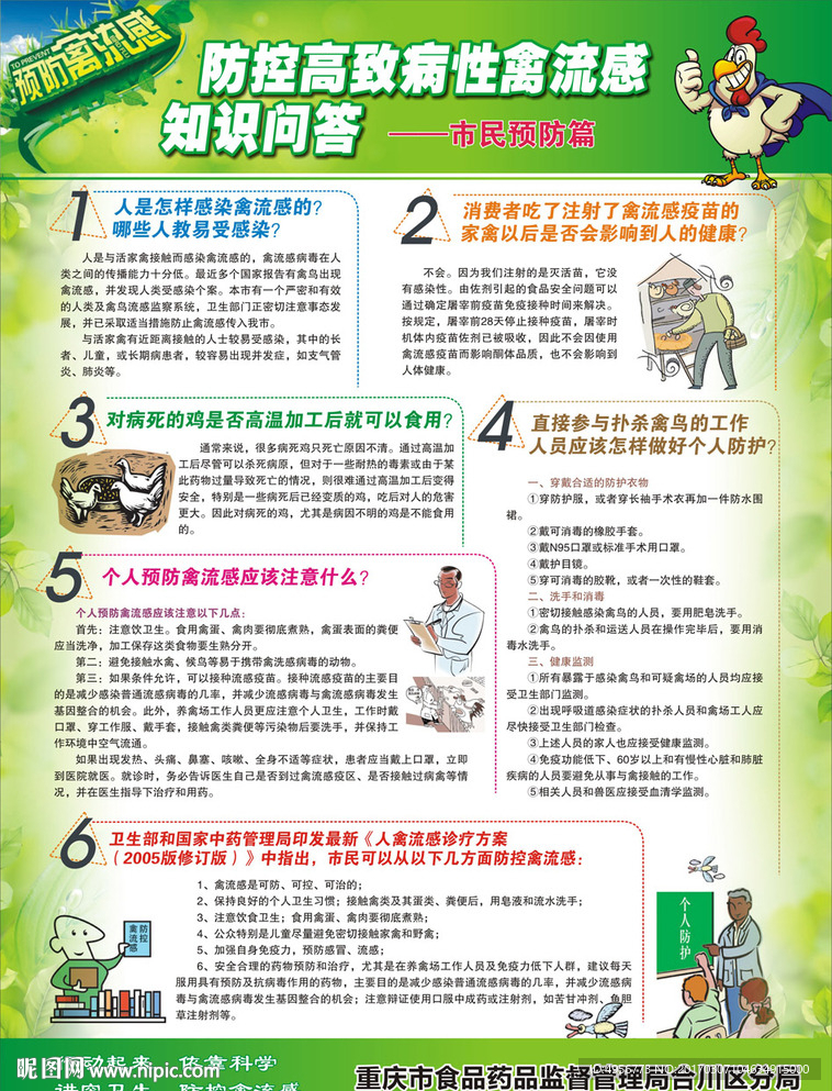 禽流感知识