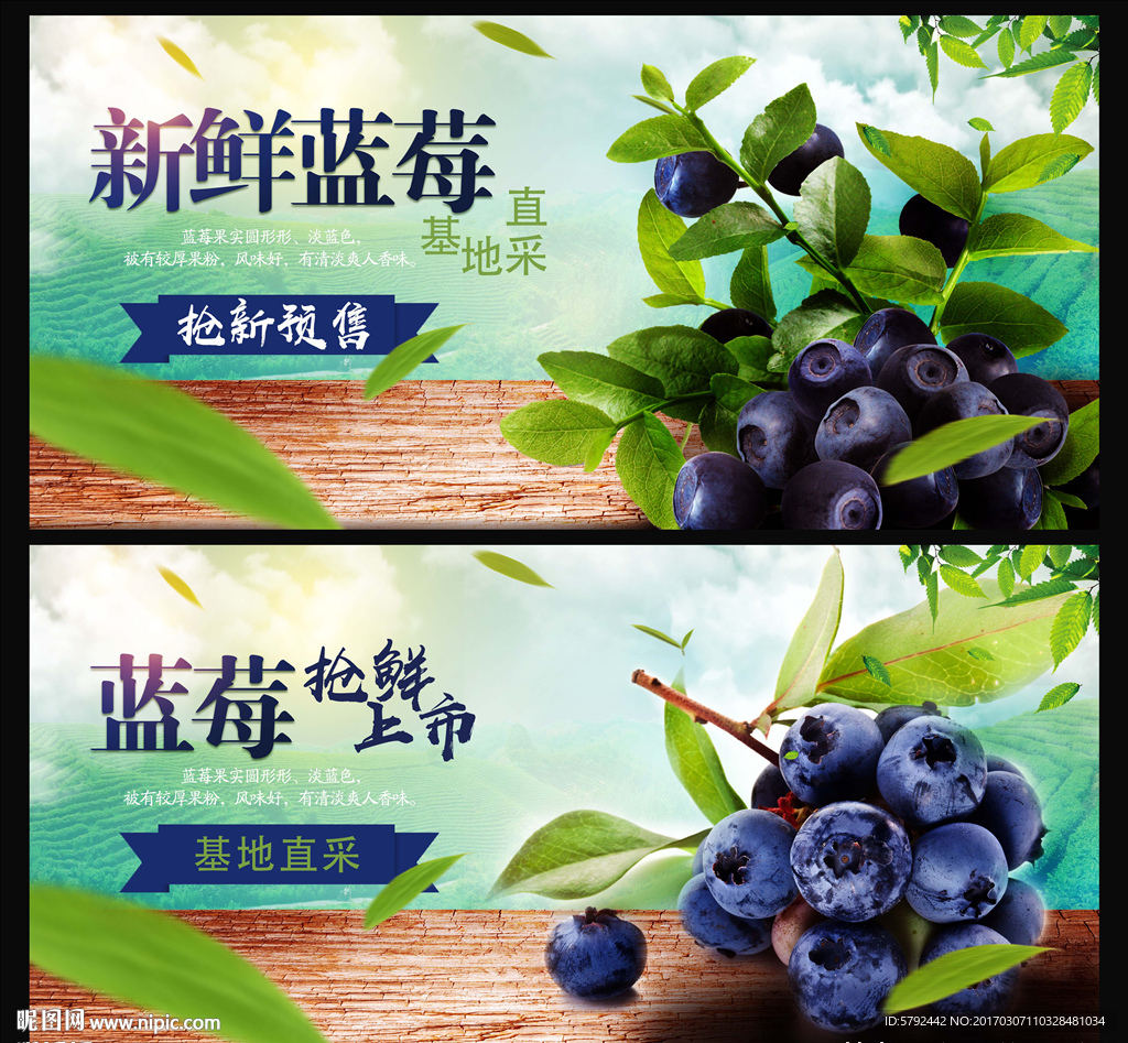 蓝莓