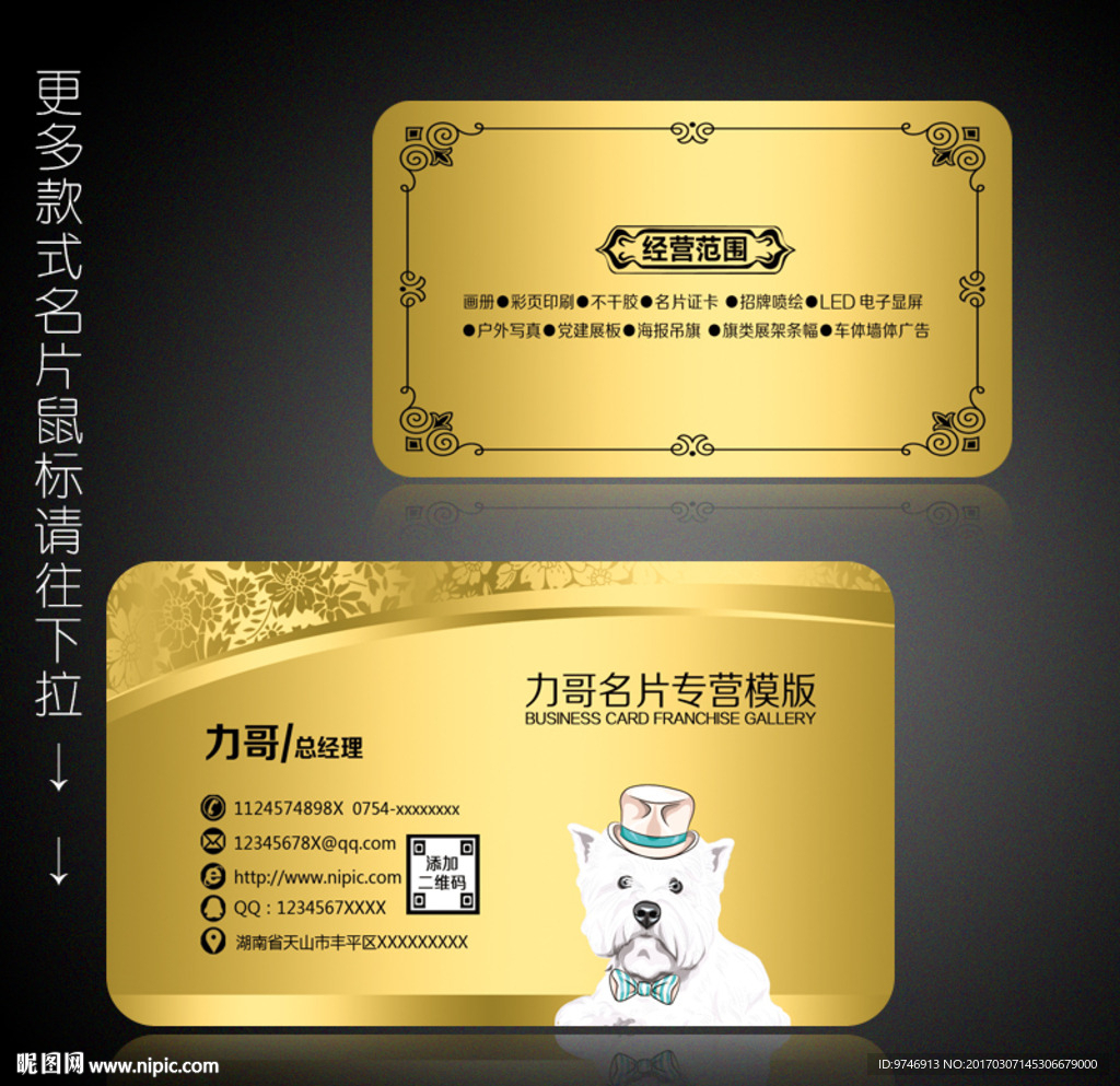宠物店名片