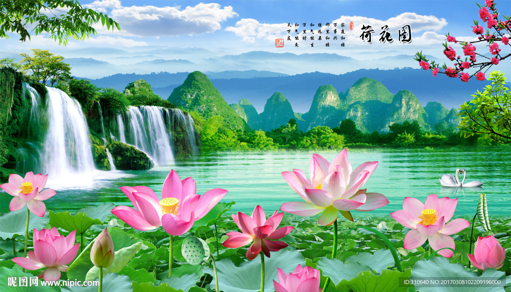 荷花图