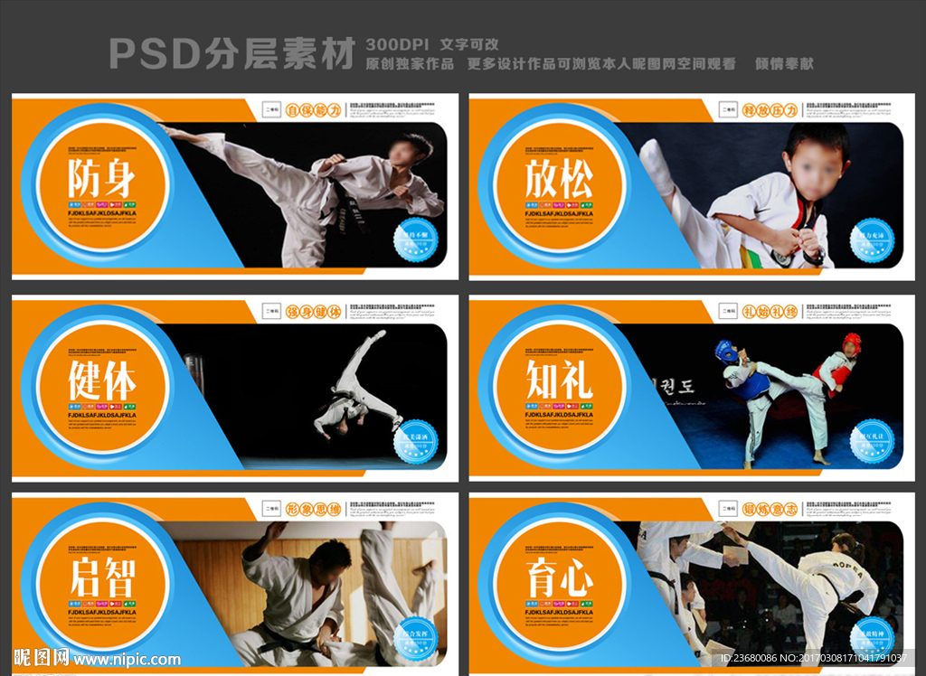跆拳道展板