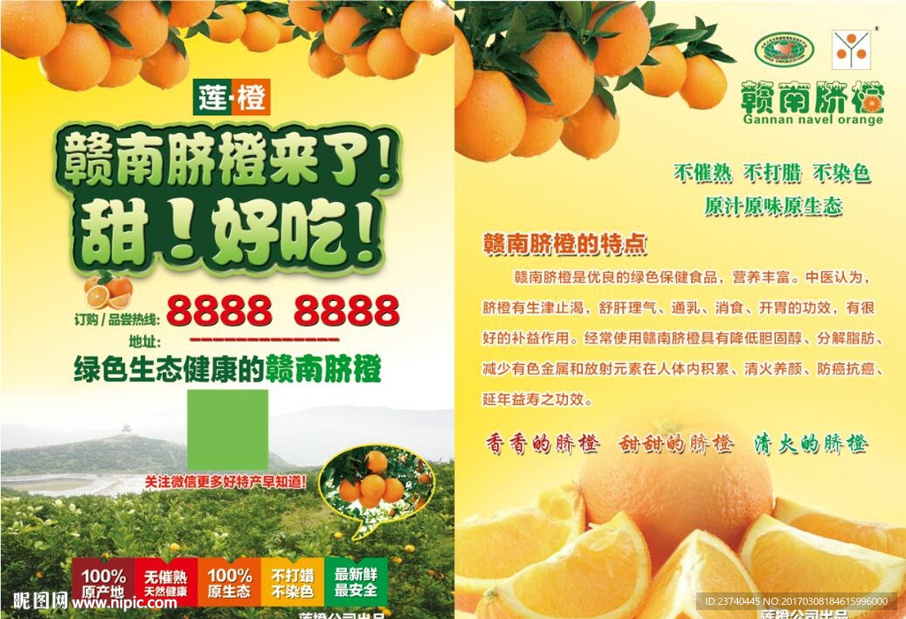 赣南脐橙传单