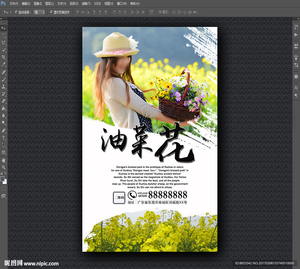 油菜花