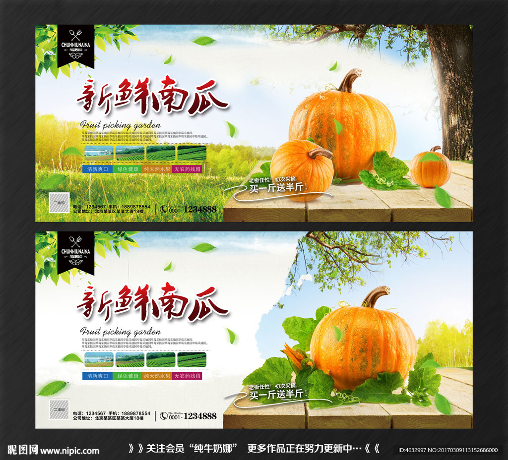 南瓜