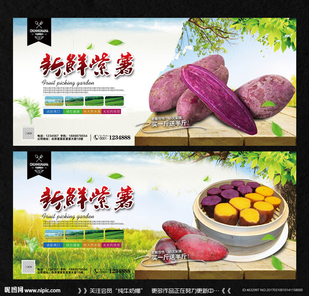 紫薯 红薯