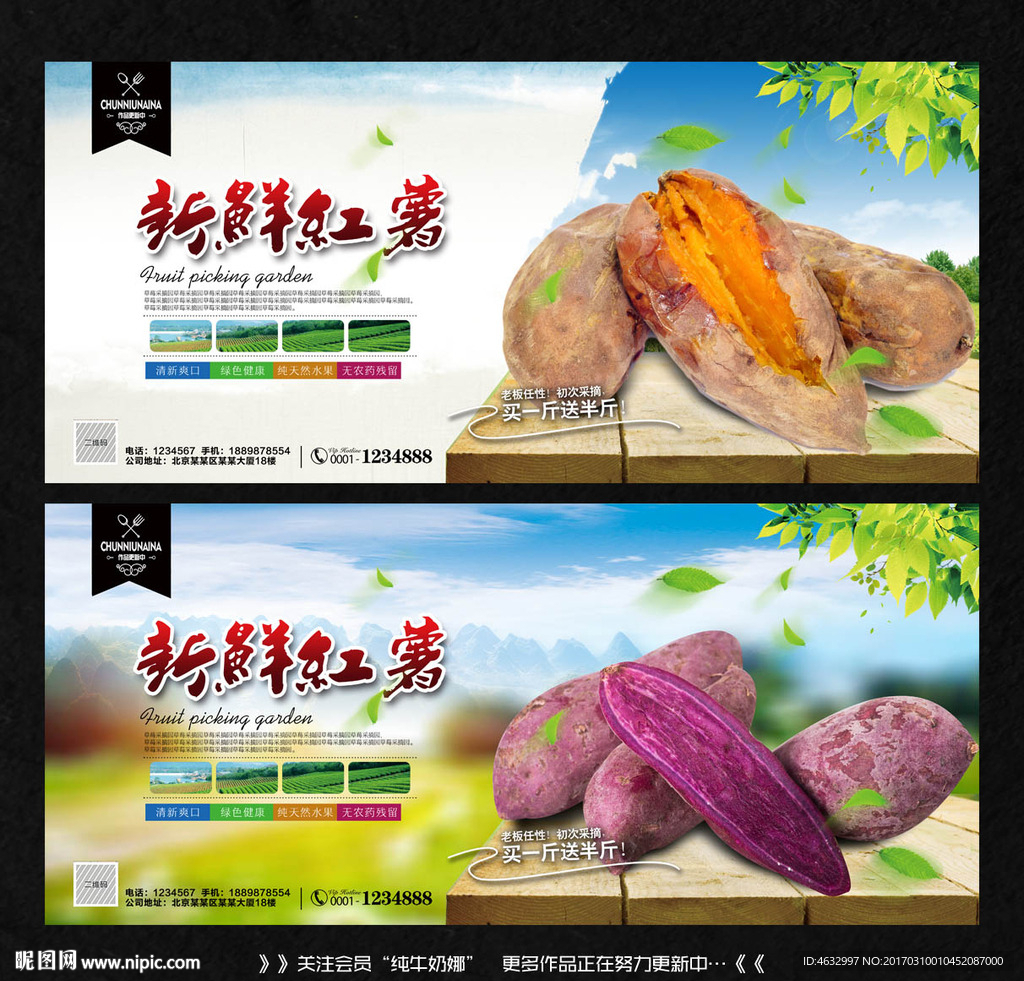 紫薯 红薯