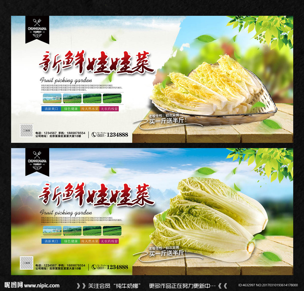 娃娃菜
