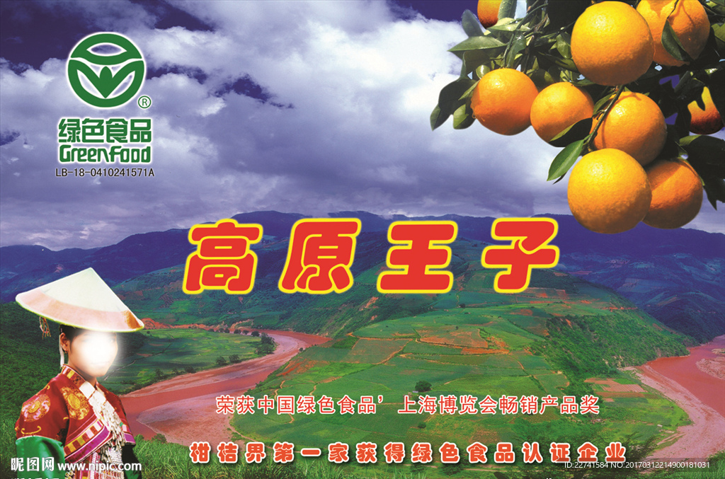 柑橘 农家橘子 桔子基地