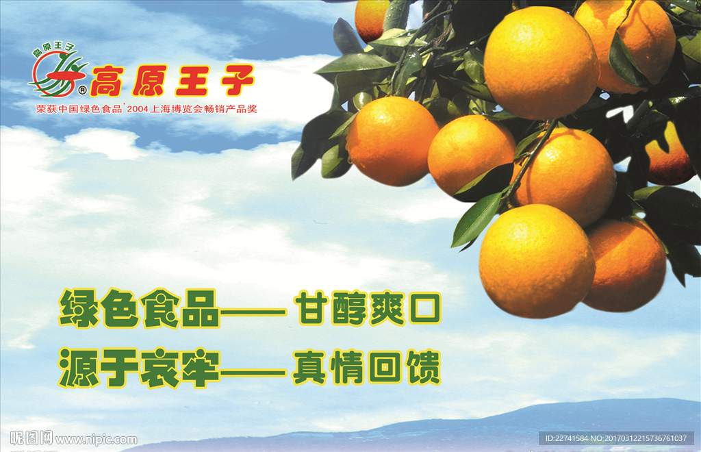 柑橘 农家橘子 桔子 金柑