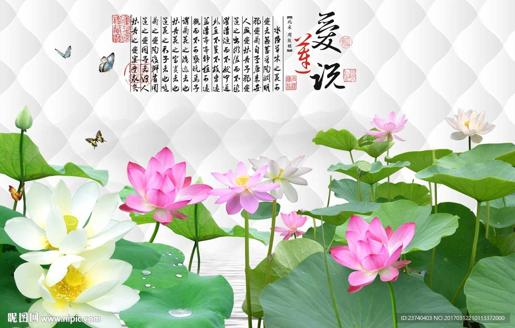 荷花背景墙