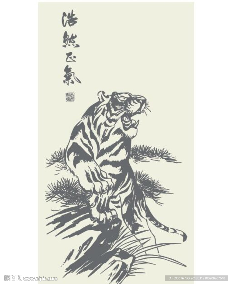老虎 硅藻泥矢量图
