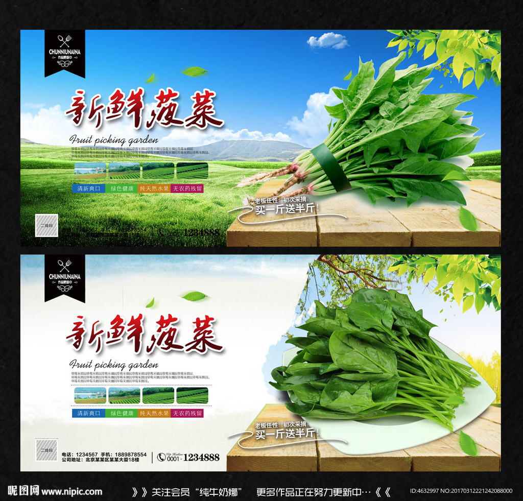 菠菜
