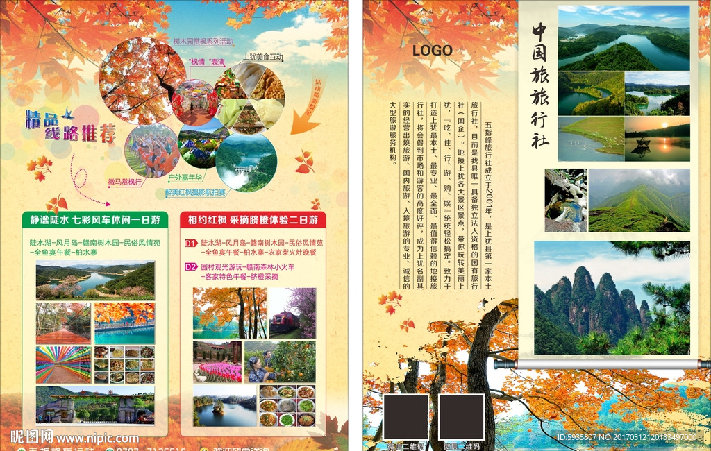 枫叶宣传单