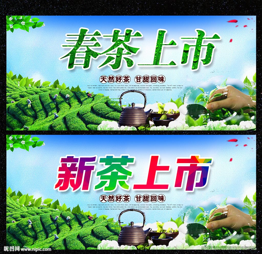 春茶 新茶