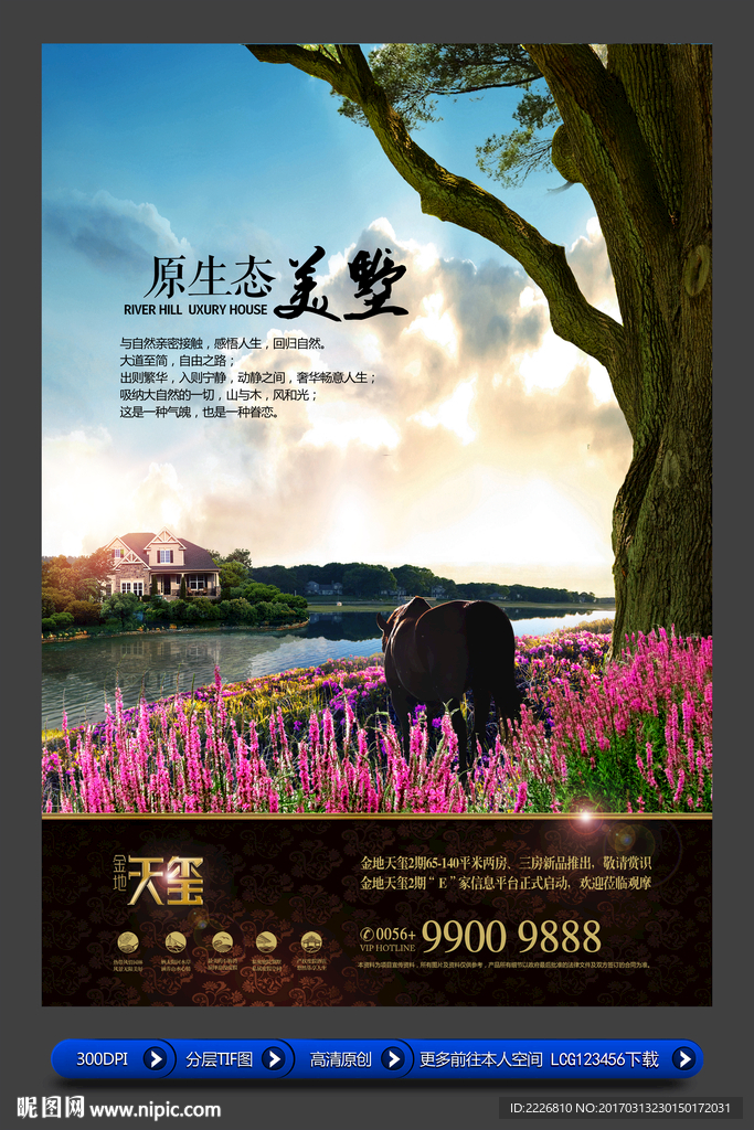 高端房地产广告