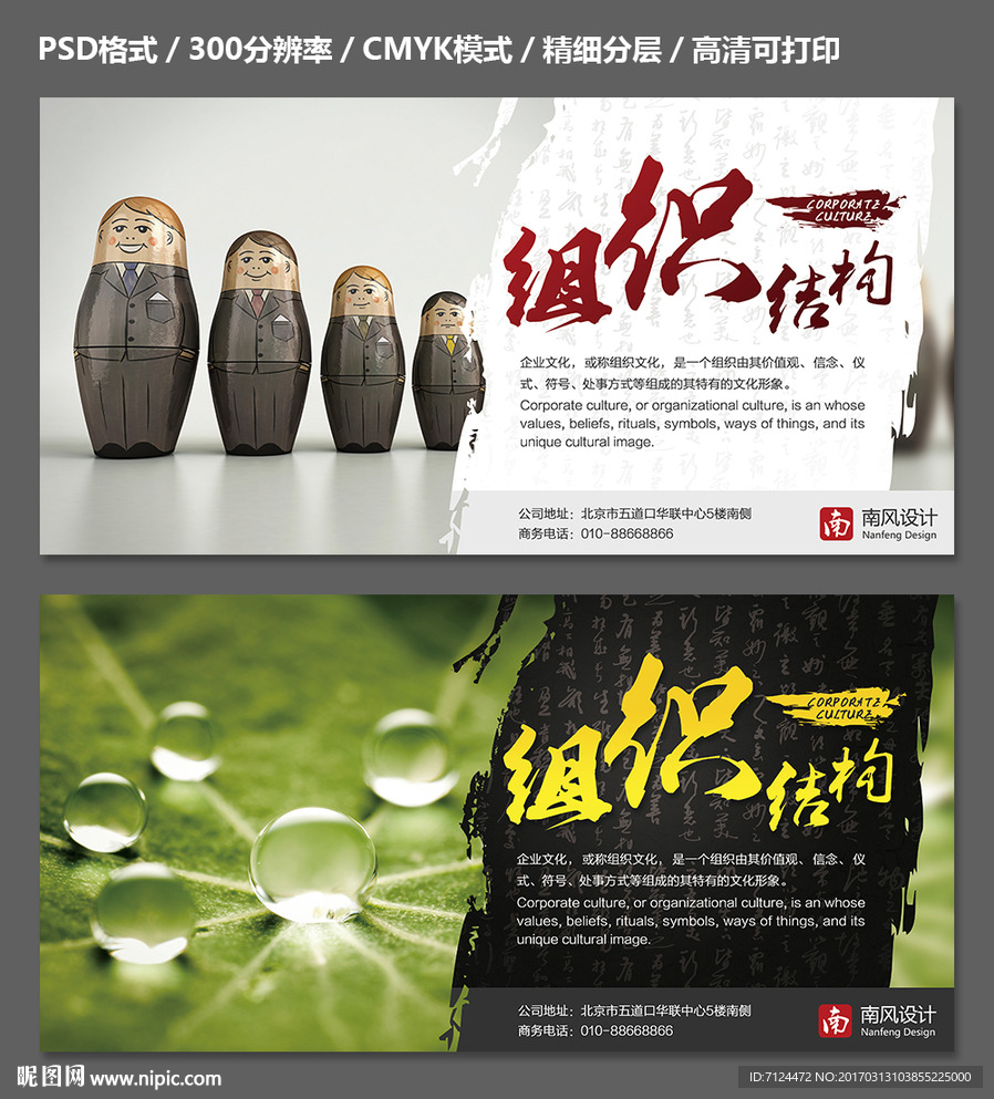 组织结构