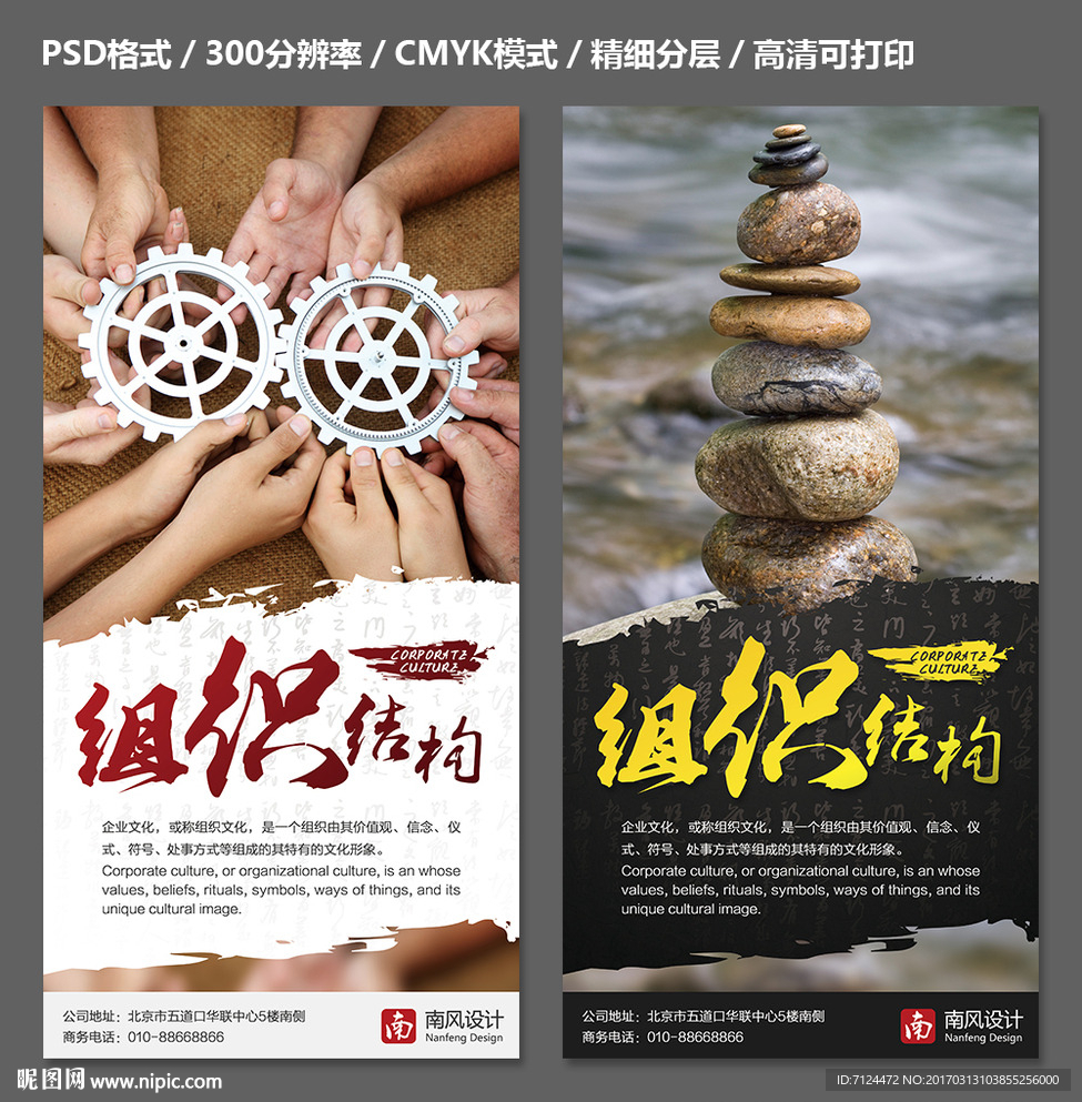 组织结构