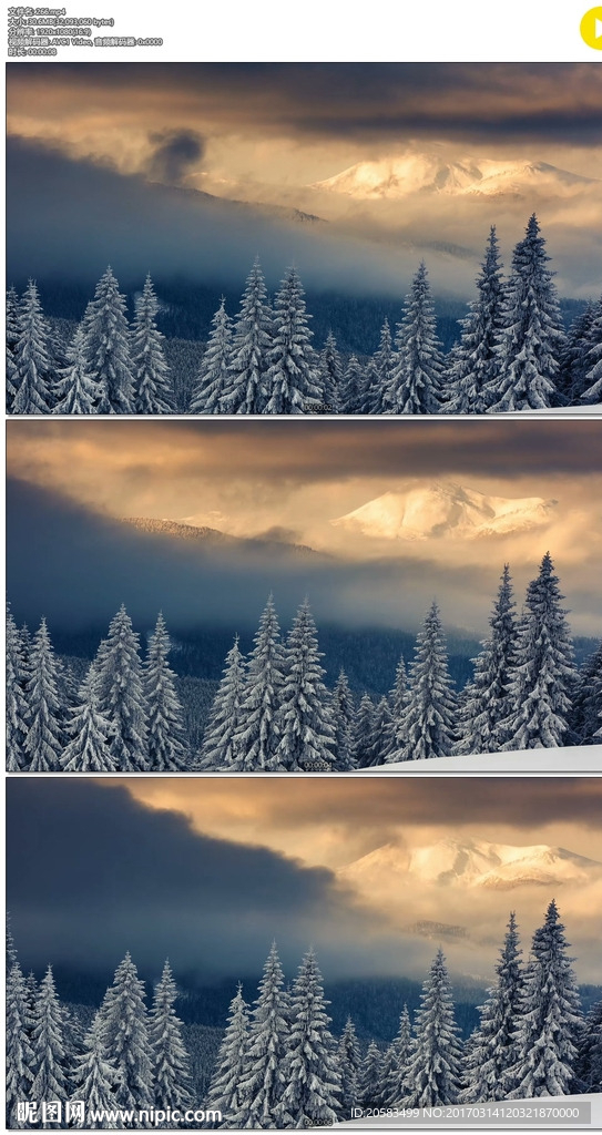 雪山上的夕阳和乌云雪松